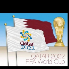 2022 FIFA World Cup