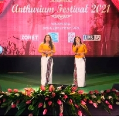 Anthurium festival a
