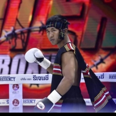 Boxrec vangin Pro fi