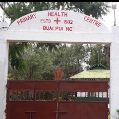 Bualpui NG PHC sak t