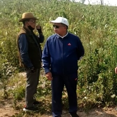 Chhunzawm tlak hmala