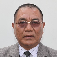 Dampa Bilatu MLA-in