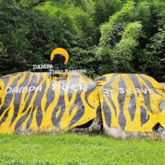 Dampa Tiger Protecti