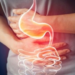 Digestion lama buain