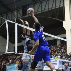 Durtlang North v TNT