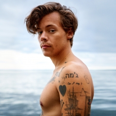 Harry Styles album t