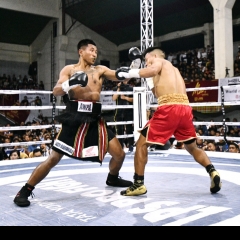 LPS pro fight a tiak