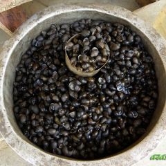 LUI HUMHALH: Luidung