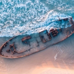 mAksAk : Hurricane z