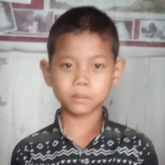 Mipa naupang bo zawn