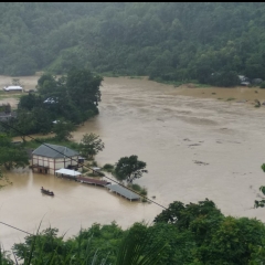 Mizoram ah fur a na;