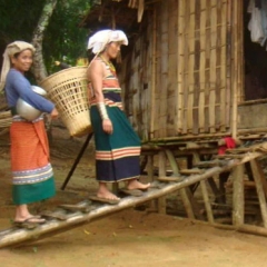 Mizoram E-Roll atang