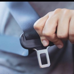 Motor Seat Belt Alar