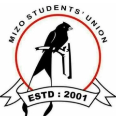 MSU-in Education Dir