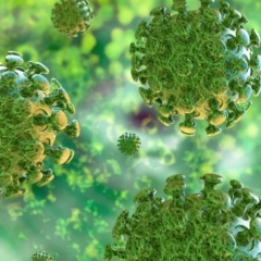 Novel coronavirus an