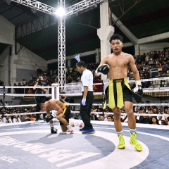 PRO FIGHT: Boxer 395
