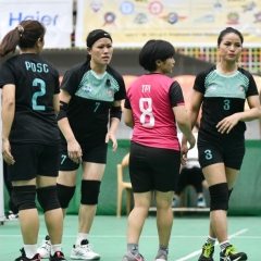 Pro Volleyball: A sa