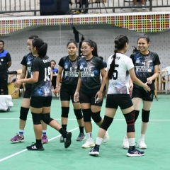Pro Volleyball: An t