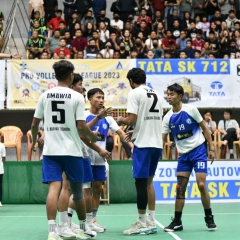 Pro Volleyball: Anur
