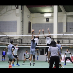 Pro Volleyball Leagu