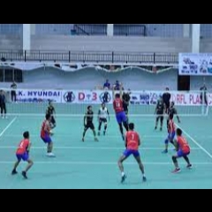 Pro Volleyball Leagu