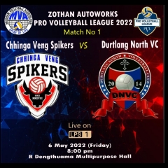 Pro Volleyball Leagu