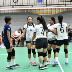 Pro Volleyball semif