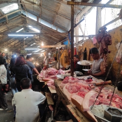 Sa-ah Mizoram intode