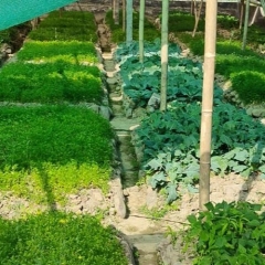 SEDP Chakai Farm-ah
