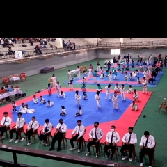 Taekwondo championsh