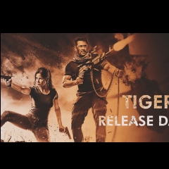 Tiger 3 tlangzarh hu