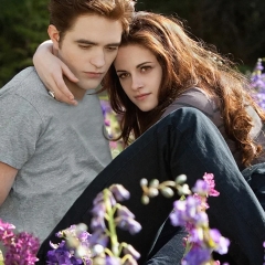 ‘Twilight’ kan h