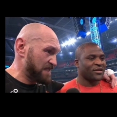 UFC Heavyweight Cham