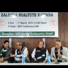 Zalenna suala inpe,