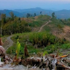 Zoramthanga Mau Chi